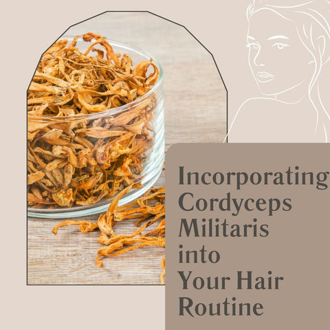 Incorporating Cordyceps Militaris into Your Hair Routine