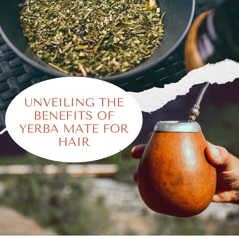 Unveiling the Benefits of Yerba Mate for Hair