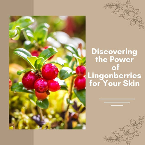 Discovering the Power of Lingonberries for Your Skin