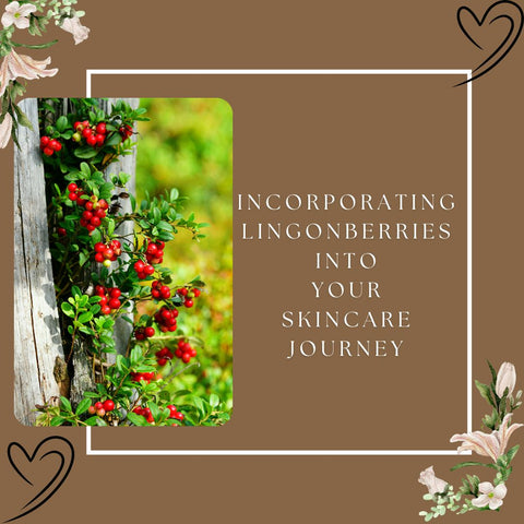 Incorporating Lingonberries into Your Skincare Journey