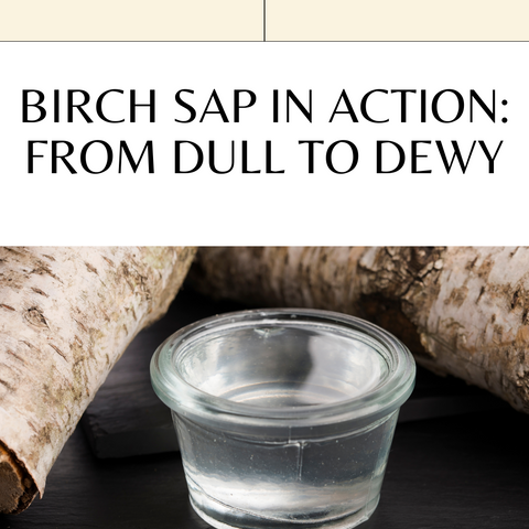 Birch Sap in Action: From Dull to Dewy