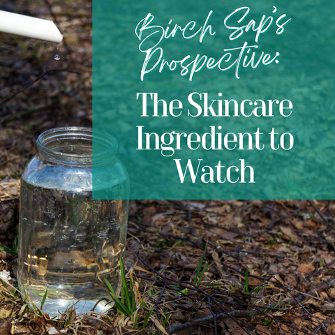 Birch Sap’s Prospective: The Skincare Ingredient to Watch