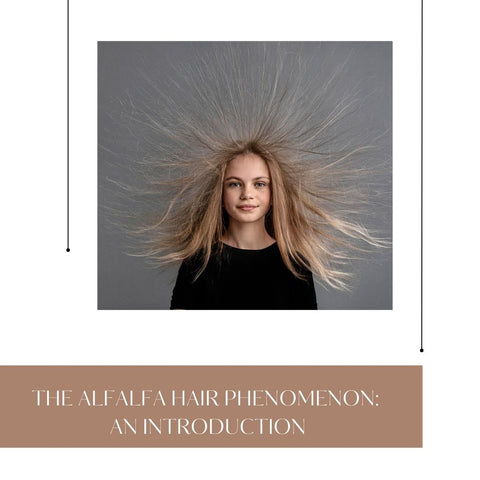 The Alfalfa Hair Phenomenon: An Introduction