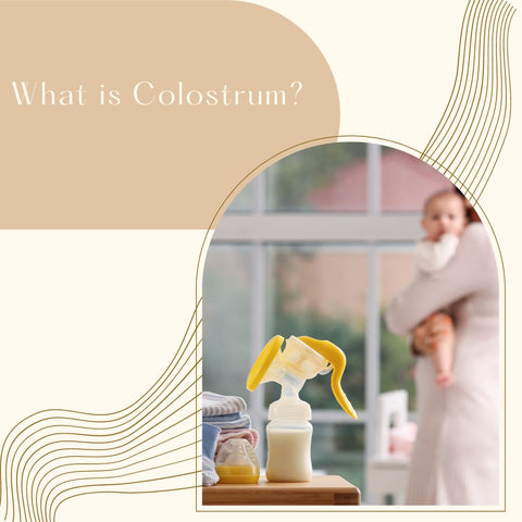 What is Colostrum?
