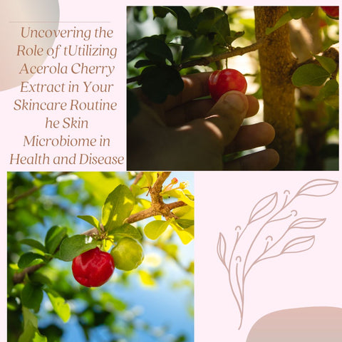 Utilizing Acerola Cherry Extract in Your Skincare Routine