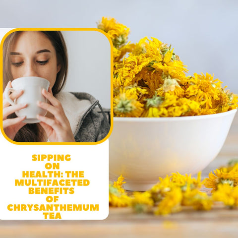 Sipping on Health: The Multifaceted Benefits of Chrysanthemum Tea