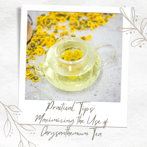 Practical Tips: Maximizing the Use of Chrysanthemum Tea