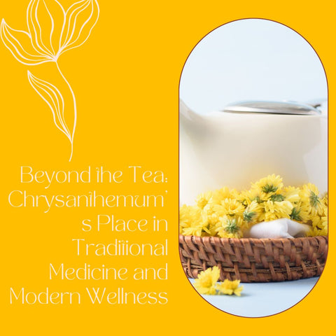 Beyond the Tea: Chrysanthemum's Place in Traditional Medicine and Modern Wellness