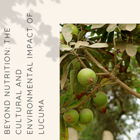 Beyond Nutrition: The Cultural and Environmental Impact of Lucuma