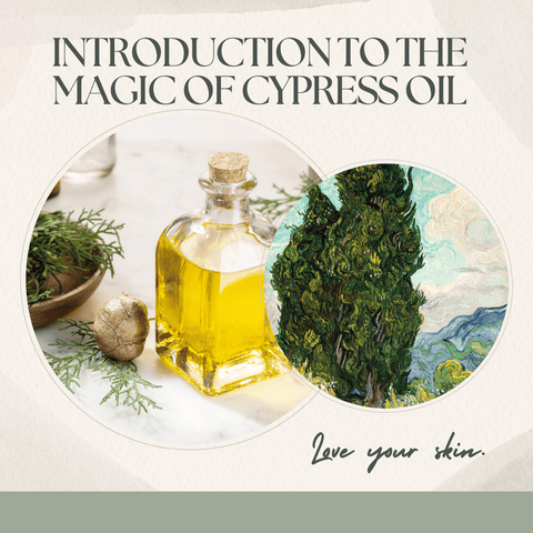 Introduction to the Magic of Cypress Oil