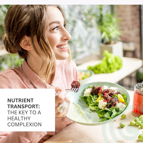 Nutrient Transport: The Key to a Healthy Complexion