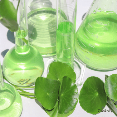 centella asiatica skin benefits