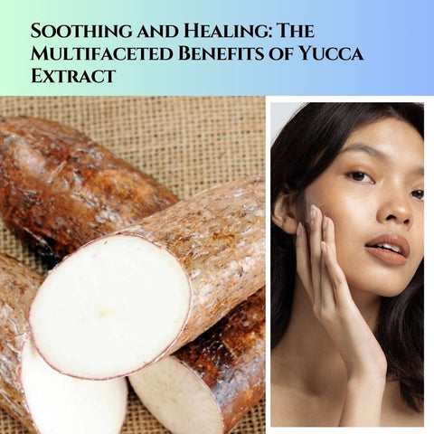 Soothing and Healing: The Multifaceted Benefits of Yucca Extract