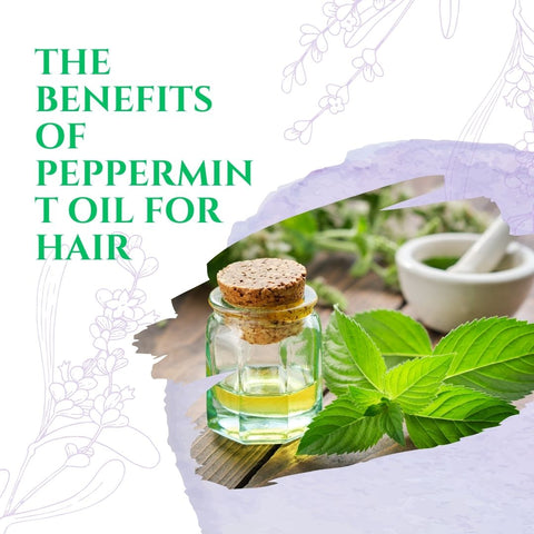 The Benefits of Peppermint Oil for Hair