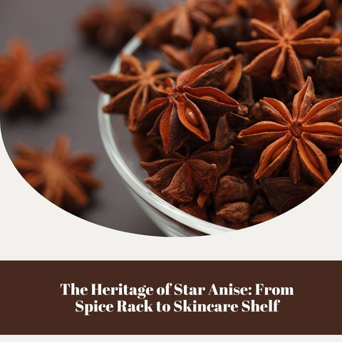The Heritage of Star Anise: From Spice Rack to Skincare Shelf