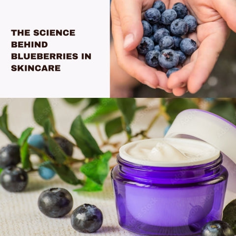 The Science Behind Blueberries in Skincare