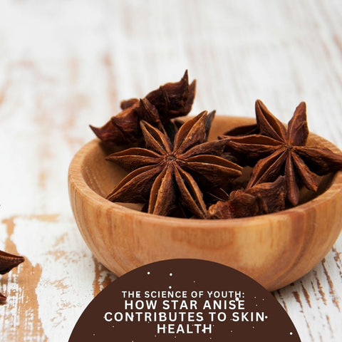 The Science of Youth: How Star Anise Contributes to Skin Health