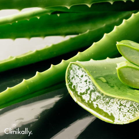 The benefits of aloe vera for skin