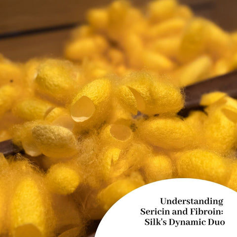 Understanding Sericin and Fibroin: Silk's Dynamic Duo