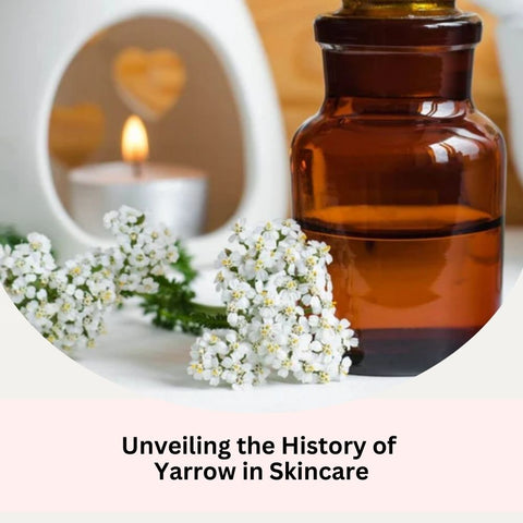 Unveiling the History of Yarrow in Skincare
