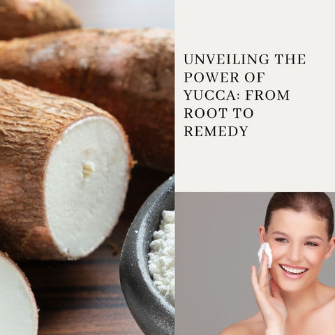 Unveiling the Power of Yucca: From Root to Remedy