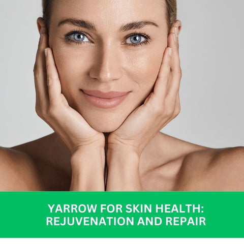 Yarrow for Skin Health: Rejuvenation and Repair