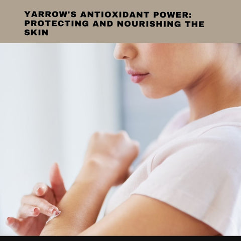 Yarrow's Antioxidant Power: Protecting and Nourishing the Skin