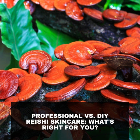 Professional vs. DIY Reishi Skincare: What's Right for You?