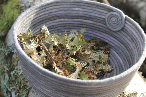 lung wort in a basket