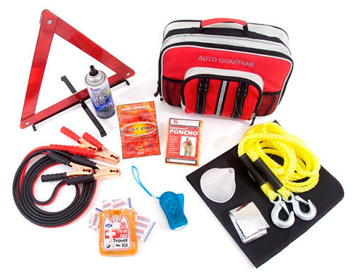 Guardian Auto Kit