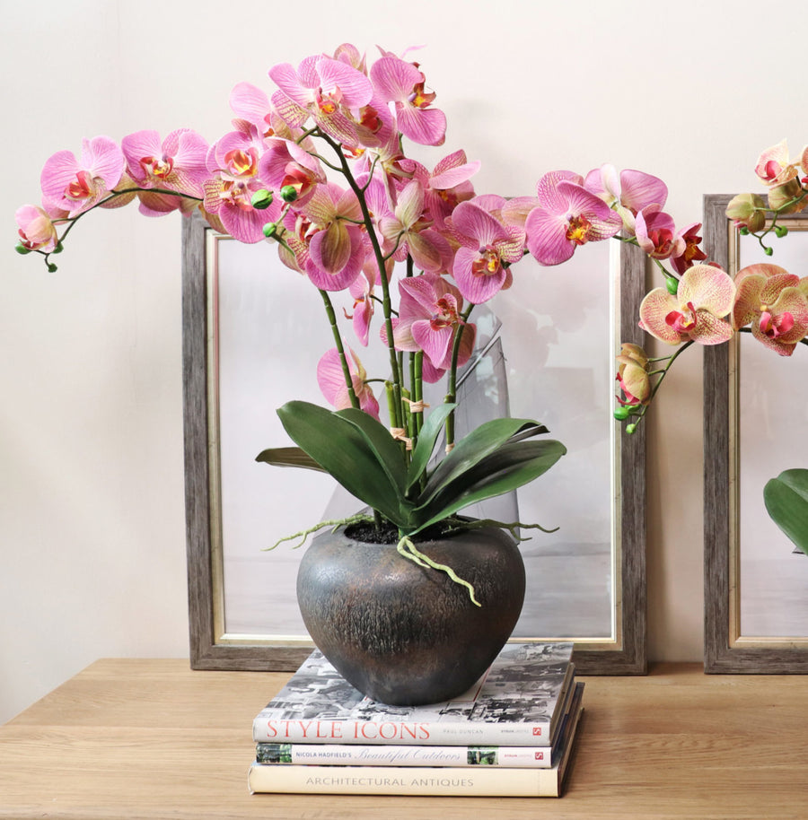 Mauve Phalaenopsis Orchid – Silk Prestige