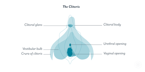 bonjibon - clitoris