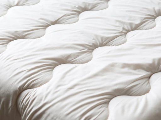 Obasan Contour Organic Latex Pillow - Mattresses Kelowna