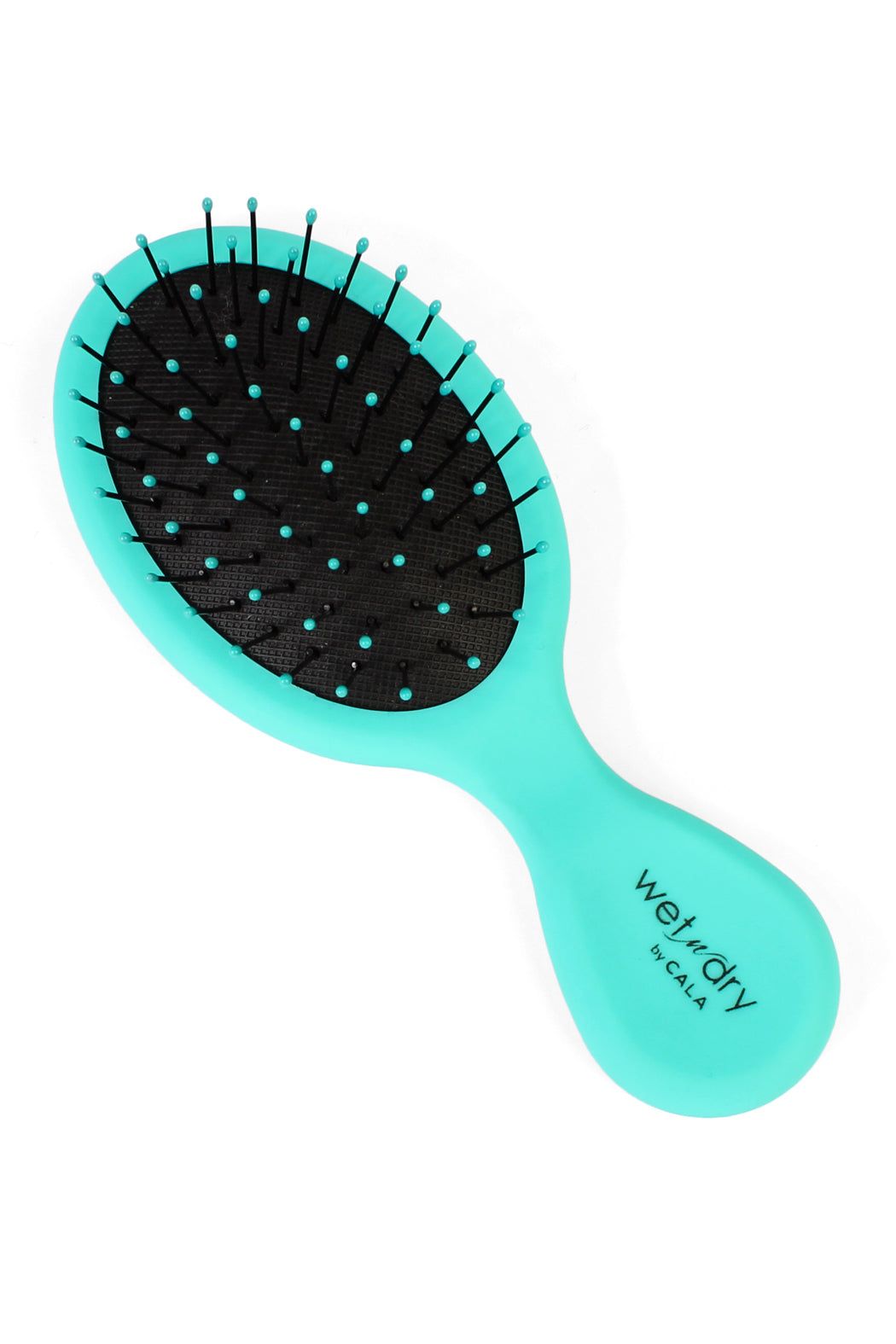 WET-N-DRY HAIR BRUSH (TURQUOISE)