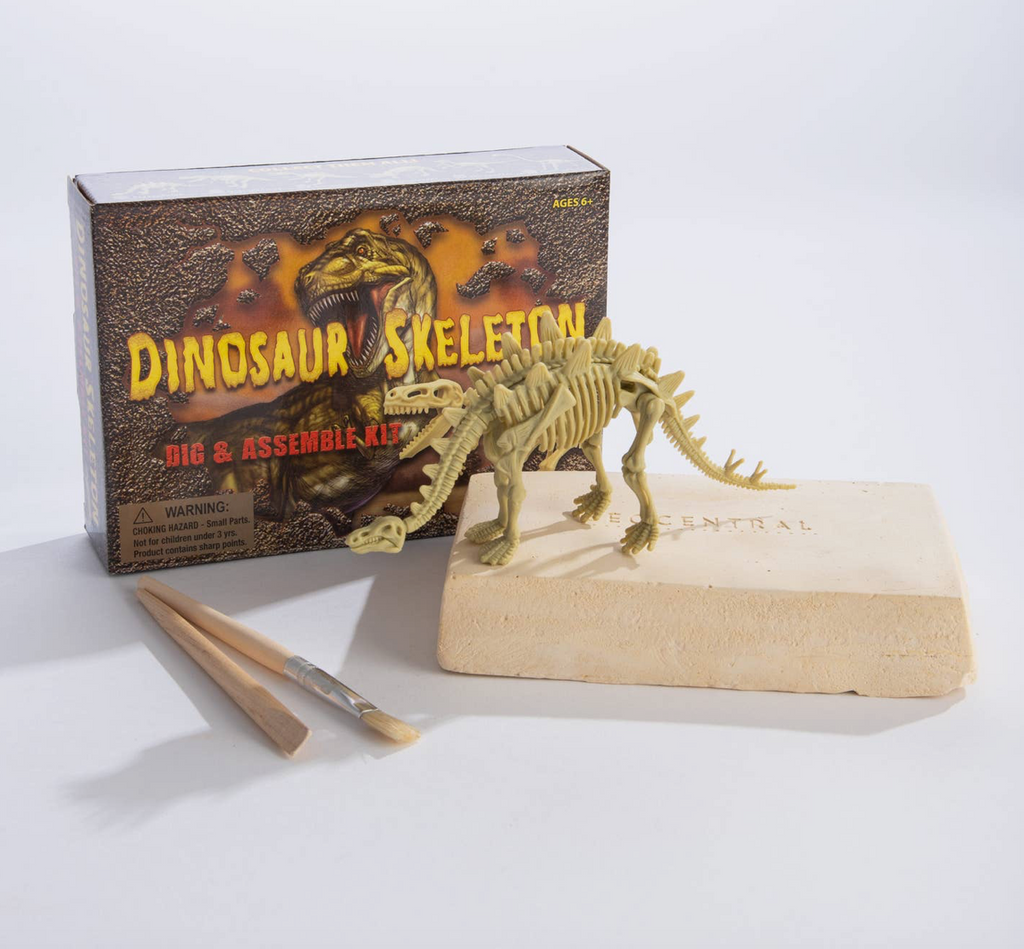 3D Dinosaur - Play 3D Dinosaur On Foodle