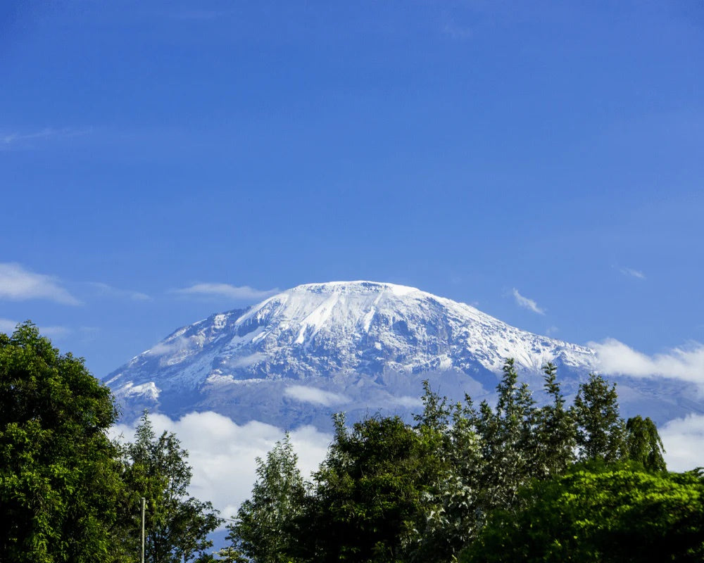 mountain with snow in tanzania