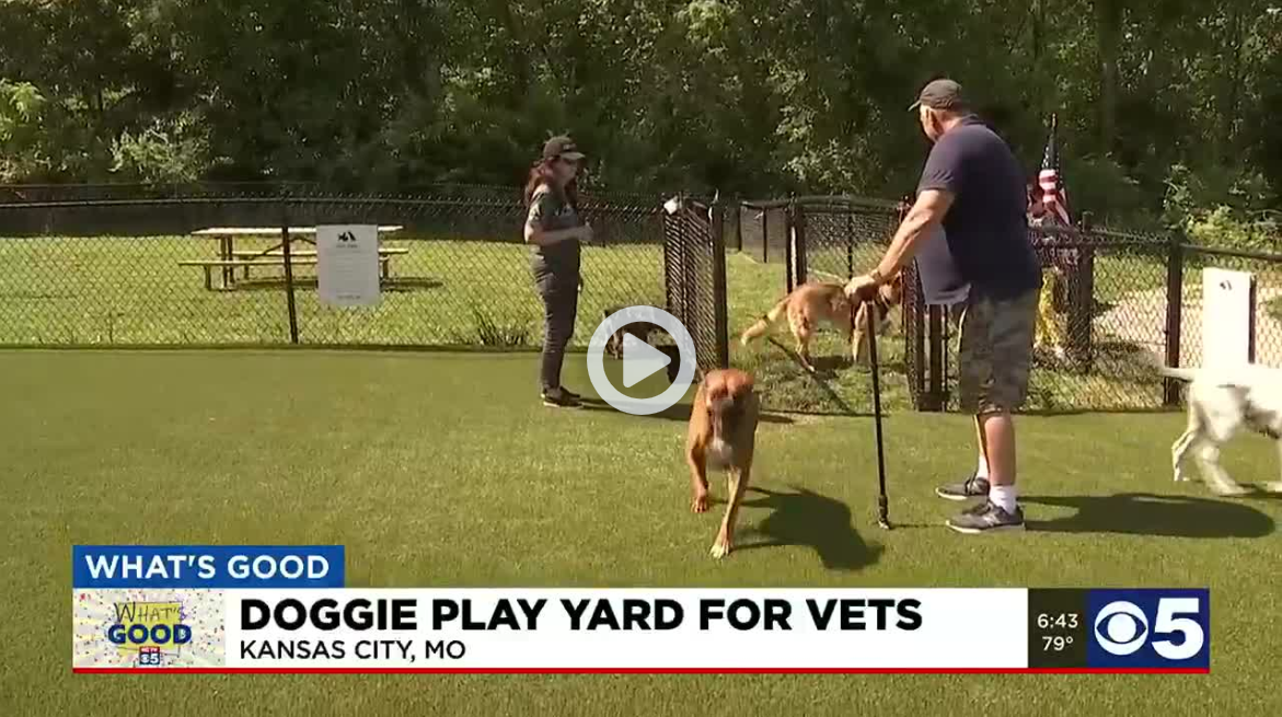 What's Good In Kansas City? A Doggie Play Yard for Veterans KCTV5