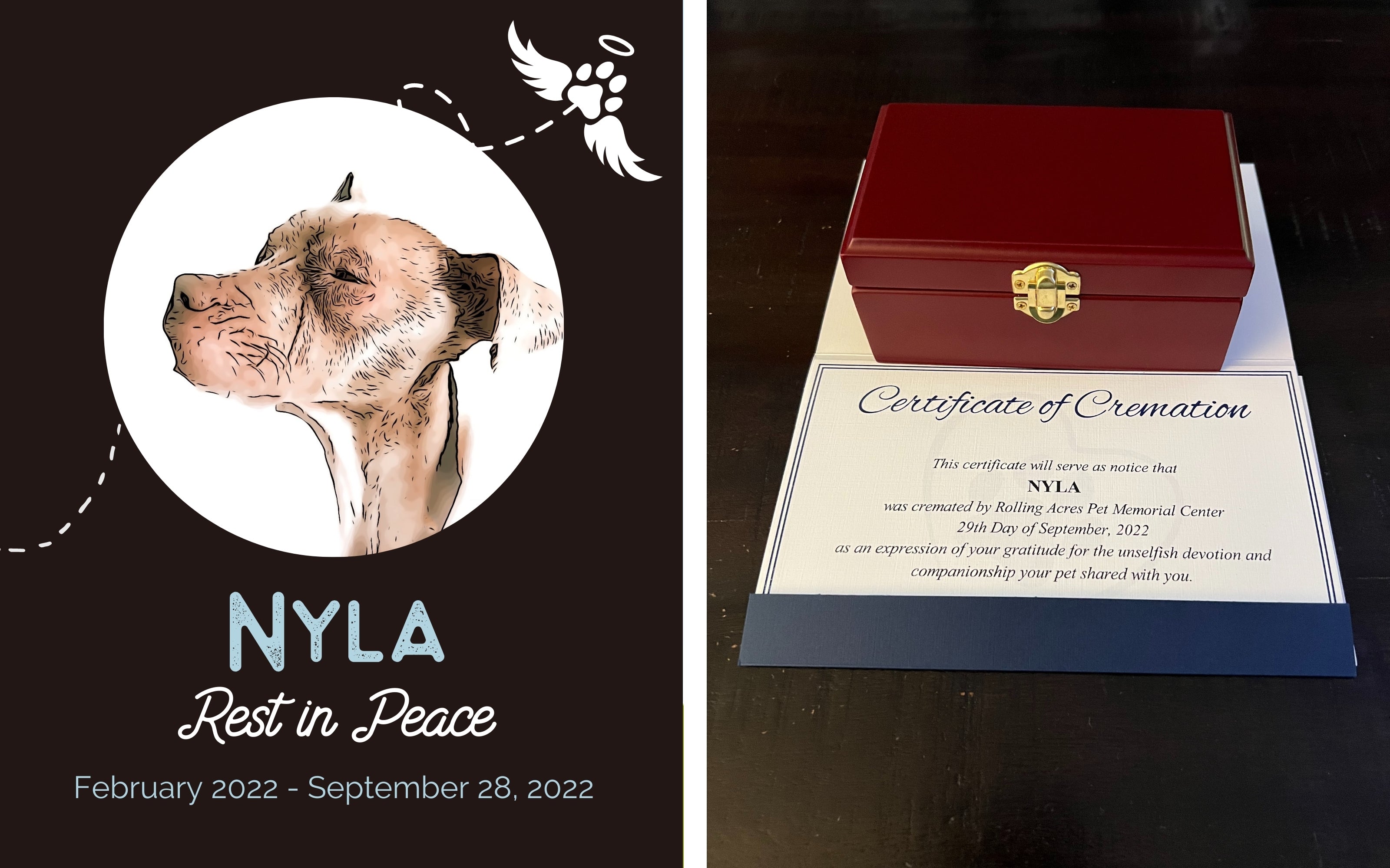 In Loving Memory Of Nyla - Let's End Animal Abuse_Mission Driven GOods