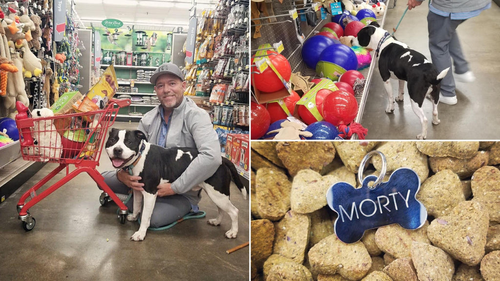 Morty, the Homeless Pit Mix, Get A Shopping Spree Blog_ Mission Driven Goods