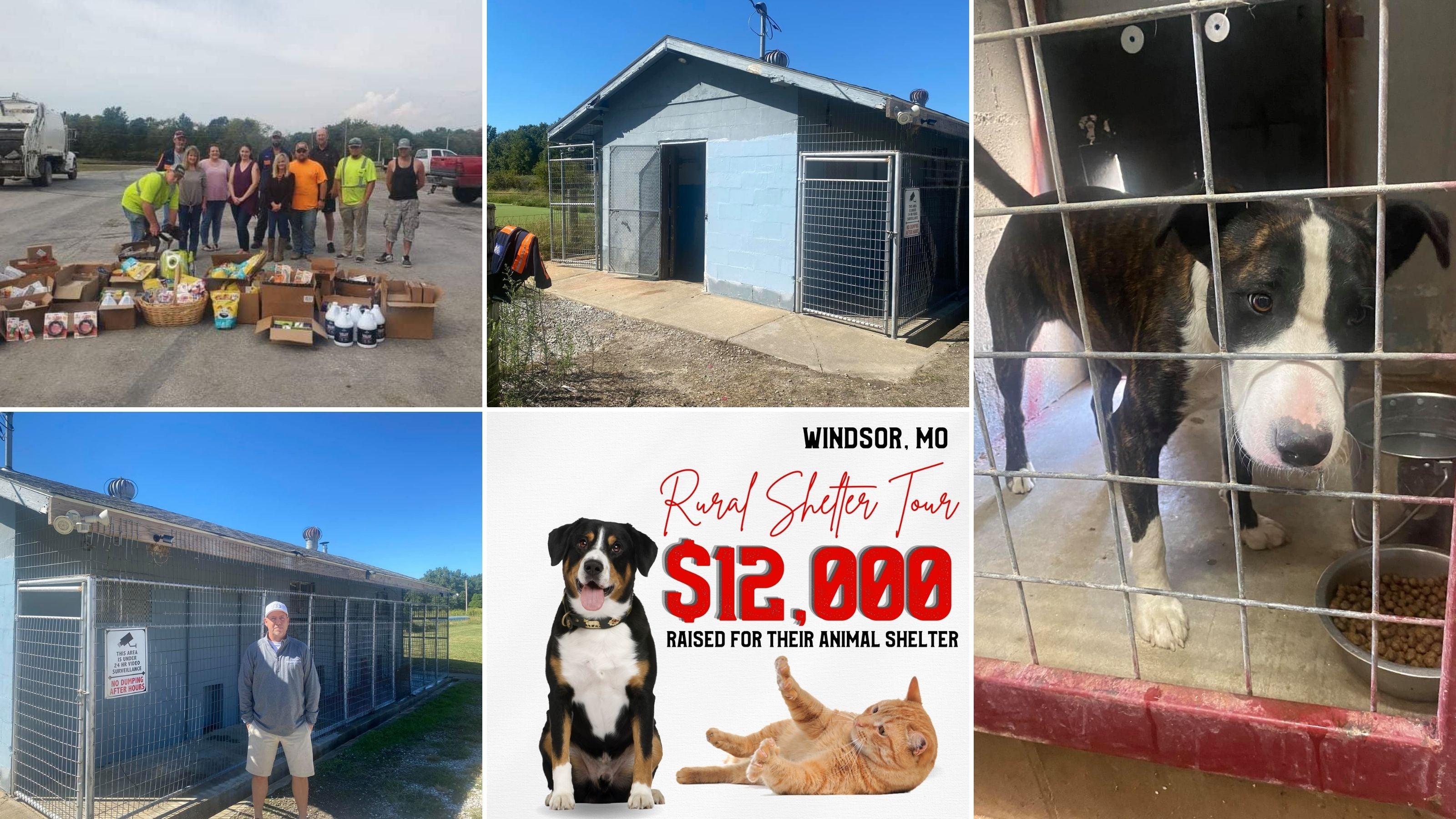 Windsor Animal Pound