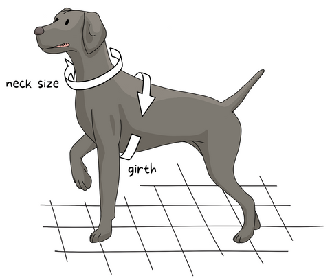 Ox leather harness measurements