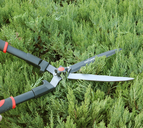 Gardening scissors