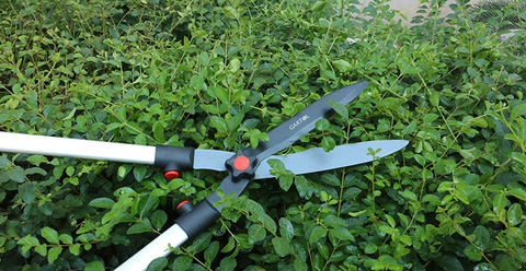 Gardening scissors