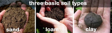 soil