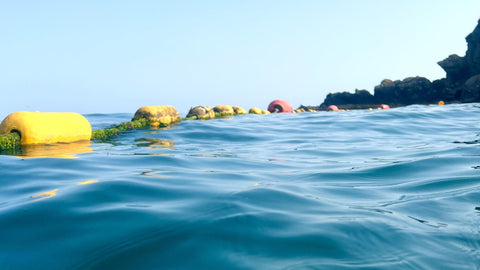 The designated swim area buoy line at Readymoney Cove, Fowey