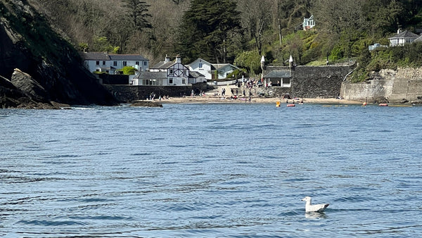 The views towards Readymoney Cove from the water