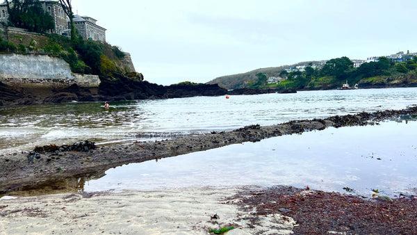 Rockpools at Readymoney Cove beach Fowey Cornwall