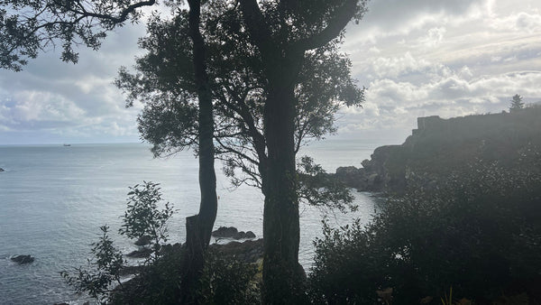 The view towards Readymoney Cove, Fowey and St Catherines Castle