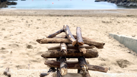 A driftwood sculpture at Readymoney Cove