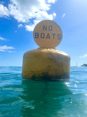 No boats buoy at Readymoney Cove, Fowey
